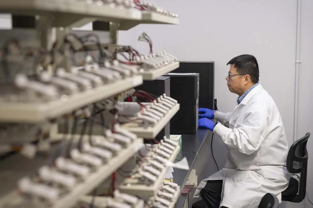 Revolutionary Battery Recycling Recovers 95% Lithium and Reduces Waste