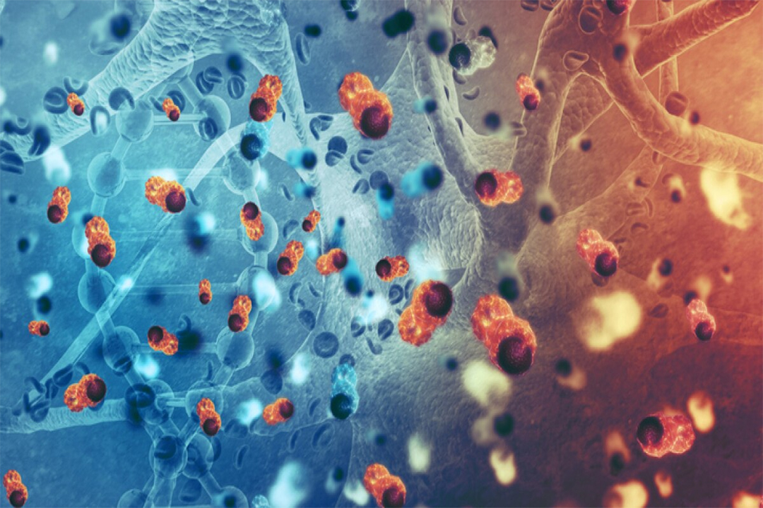 New Immune Map Offers Hope for Multiple Myeloma Patients