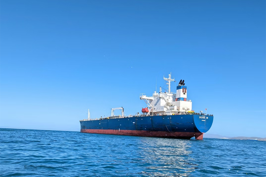 Relief Rally or Real Resolution? The Iran Ceasefire Market Breakdown