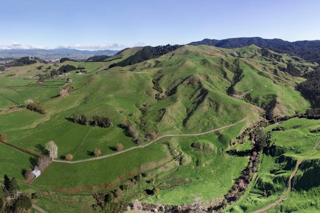 Why These New Zealand Drill Results Are Turning Heads in the Gold Mining World