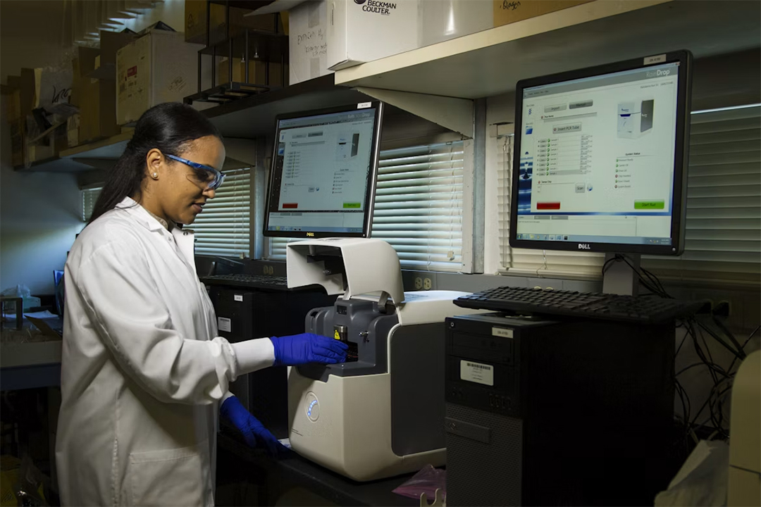 Boundless Bio Stock Up 87% on Failed Drug and Reverse Merger Deal