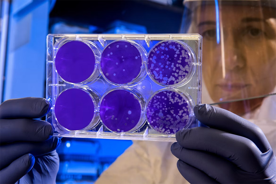 Three Cancer Drug Programs Advanced This Week and Nobody Noticed