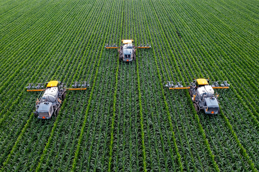 Moroccan Phosphate Tariffs Suspended: Mosaic Takes the Hit, Five Companies Stand to Benefit